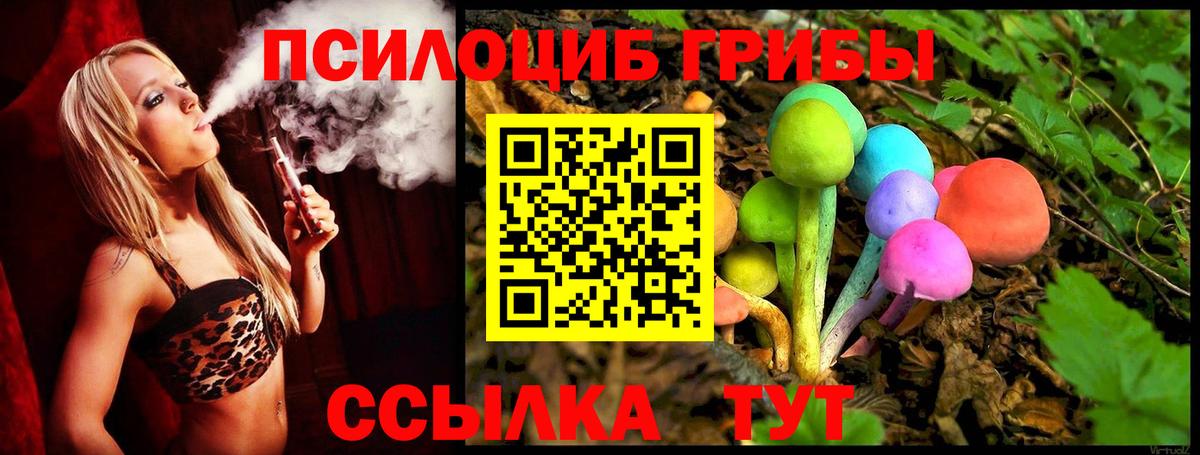 Псилоцибиновые грибы Cubensis Железноводск